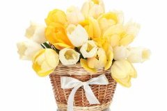 горшечные тюльпаны в подарочной корзине