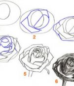 Как рисовать лепестки розы