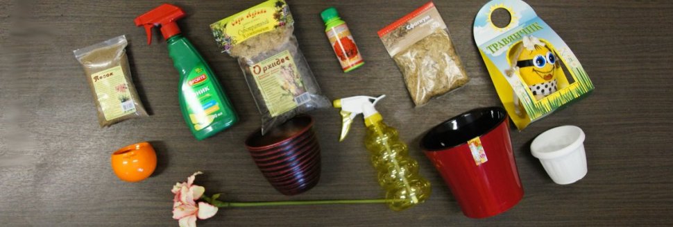 Маленькие Горшки для Цветов